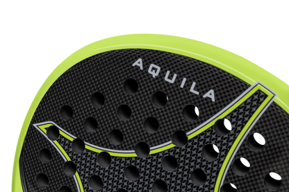 Starvie Aquila 2024