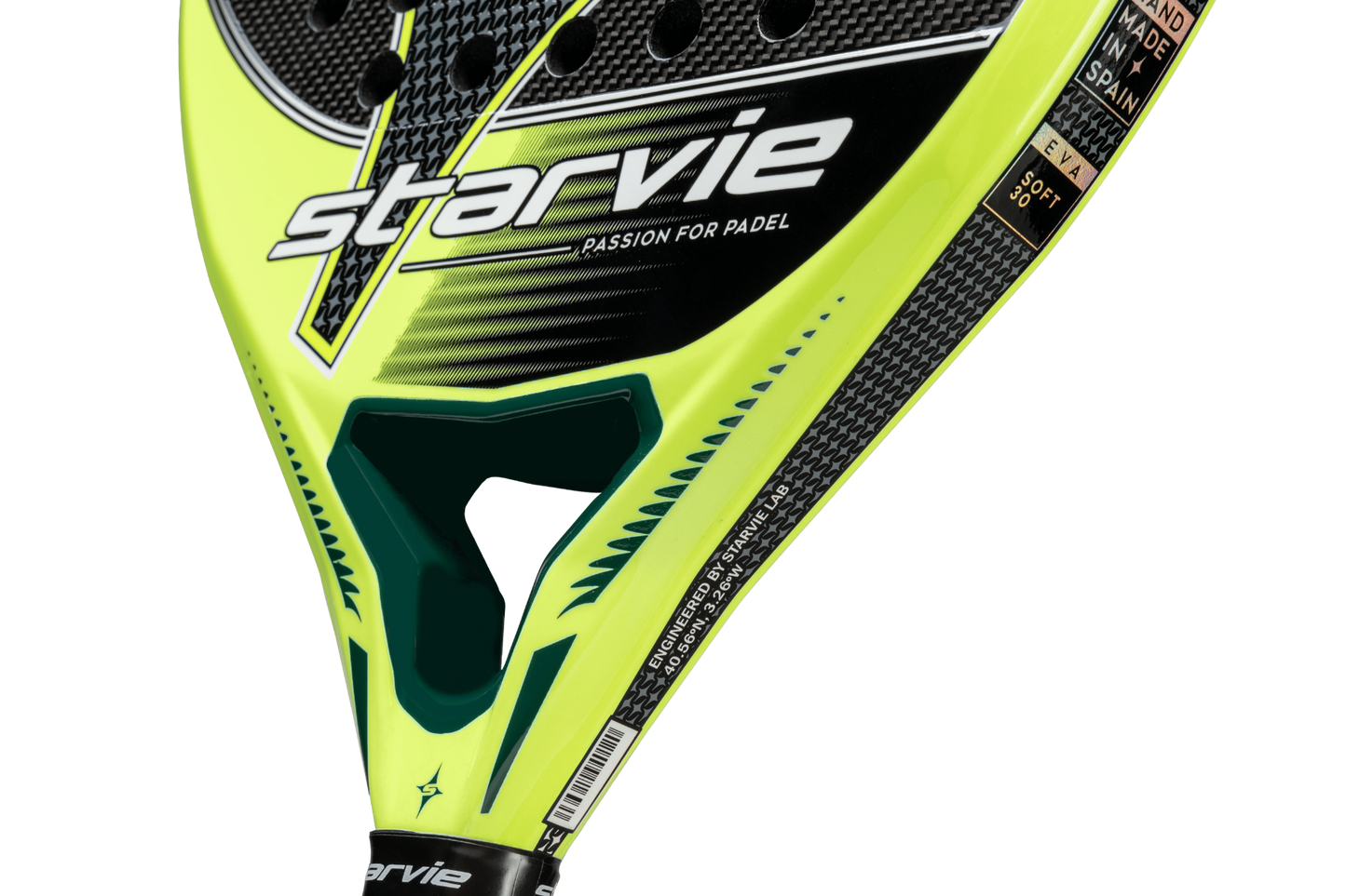 Starvie Aquila 2024